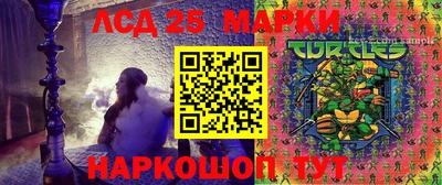 гидропоника Азнакаево