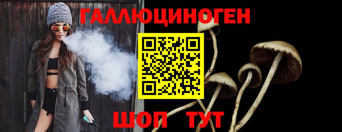 Галлюциногенные грибы мицелий  Вход с VPN  Череповец  Галлюциногенные грибы мухоморы 